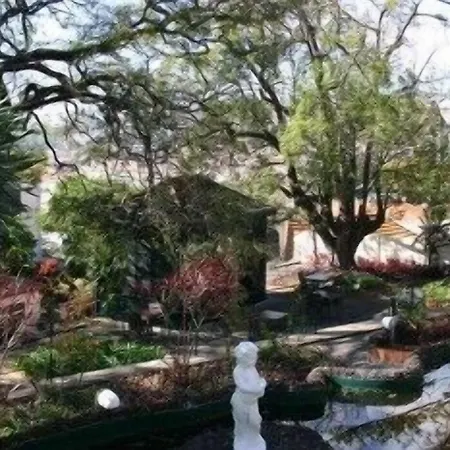 فندق Arts In Conde Carvalhal