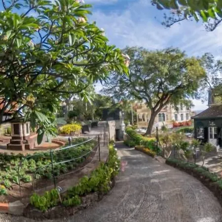 Arts In Conde Carvalhal