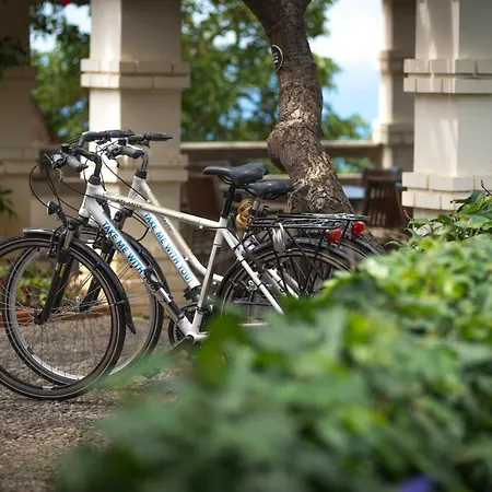 فندق Arts In Conde Carvalhal