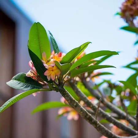 Arts In Conde Carvalhal 4*