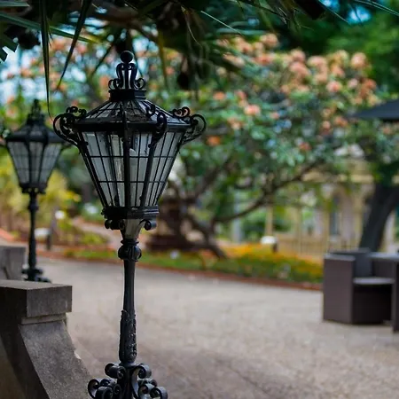 Arts In Conde Carvalhal