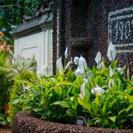 Arts In Conde Carvalhal 4*