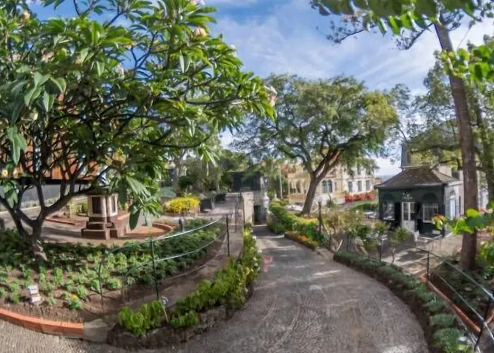 Arts In Conde Carvalhal