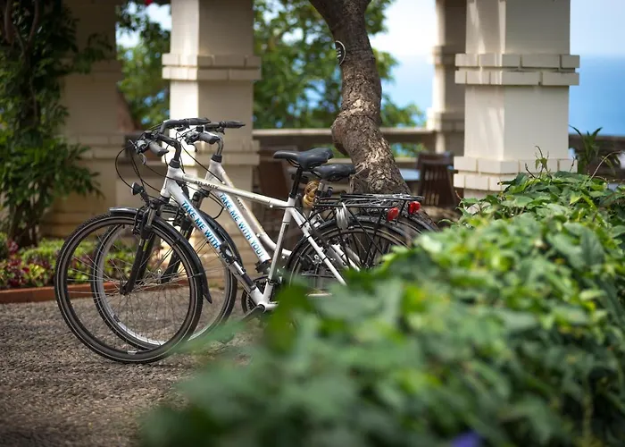 מלון Arts In Conde Carvalhal