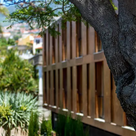 Hotel Arts In Conde Carvalhal Funchal (Madeira)