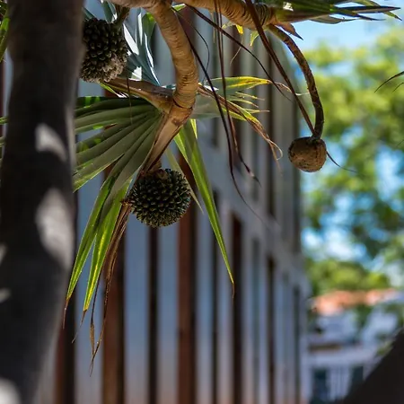 Hotel Arts In Conde Carvalhal 4*