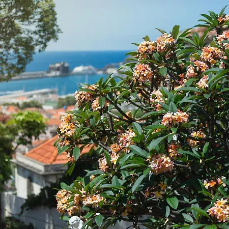 Hotel Arts In Conde Carvalhal