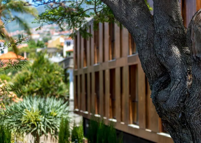 Hotel Arts In Conde Carvalhal Funchal (Madeira)
