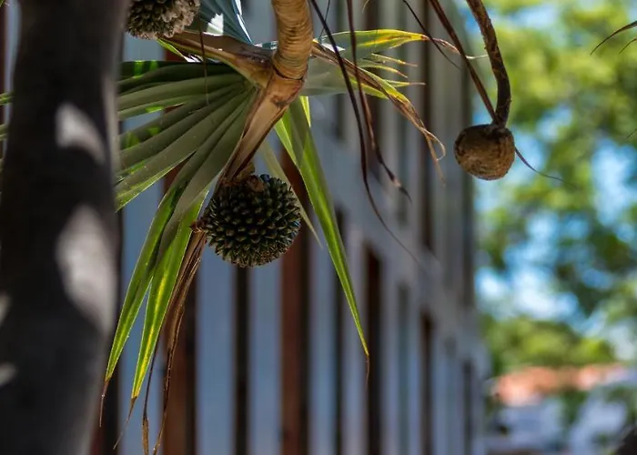 Hotel Arts In Conde Carvalhal 4*