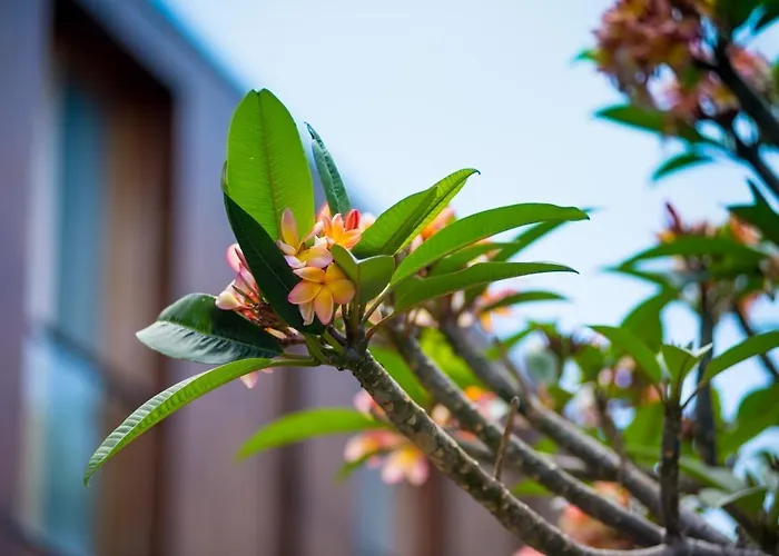 Arts In Conde Carvalhal 4*