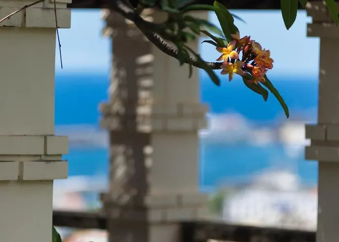 Hotel Arts In Conde Carvalhal