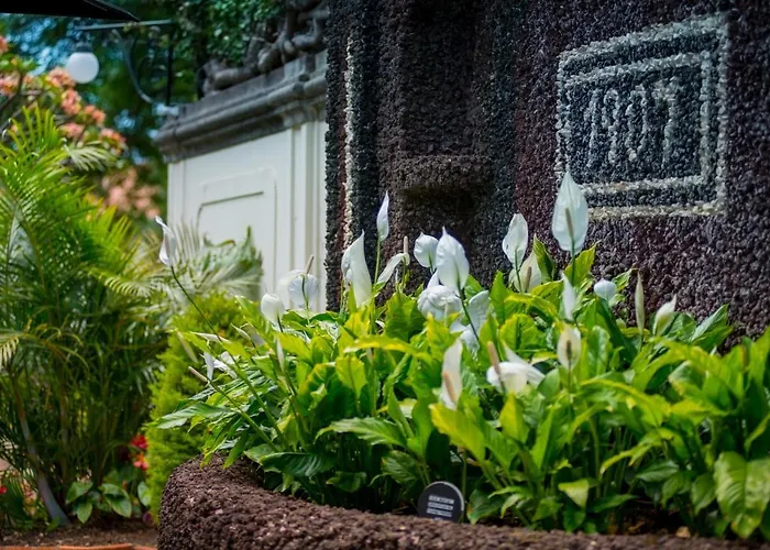 Arts In Conde Carvalhal 4*