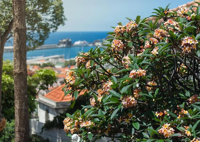 Hotel Arts In Conde Carvalhal