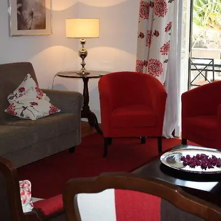 Arts In Conde Carvalhal Funchal (Madeira)