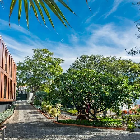 Hotell Arts In Conde Carvalhal 4*