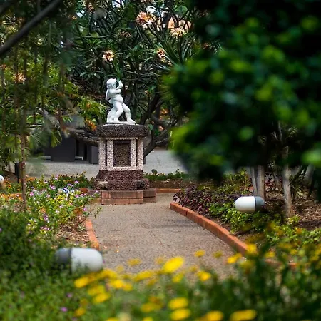 Arts In Conde Carvalhal Hotell Funchal (Madeira)