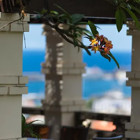 Hotell Arts In Conde Carvalhal