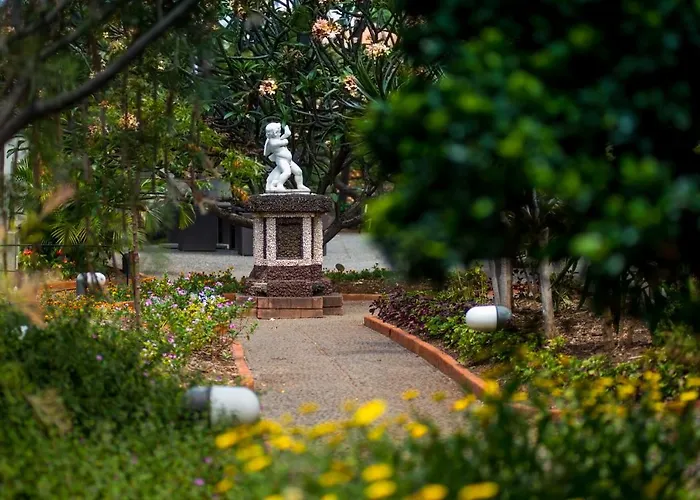 孔德卡瓦利亚尔艺术酒店 酒店 丰沙尔