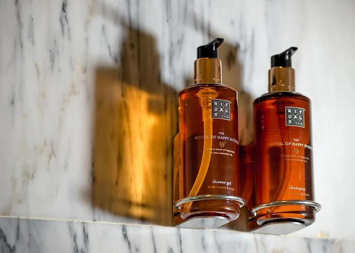 孔德卡瓦利亚尔艺术酒店 酒店